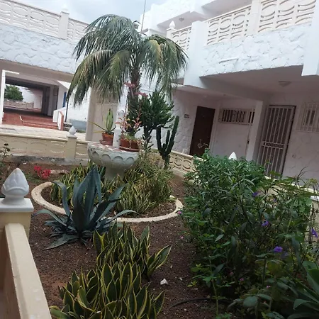 Casa Papagayo Lejlighed Arona (Tenerife)