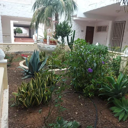 Casa Papagayo *