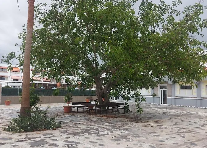 Casa Papagayo * Арона